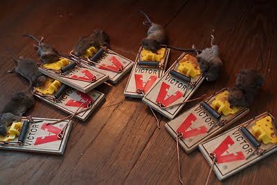 rodent trapping